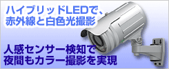 ��CT-C173��41�����ǡ����󥵡��饤����ܡ��ϥ��֥�åɰŻ륫����f=3.5��12mm��